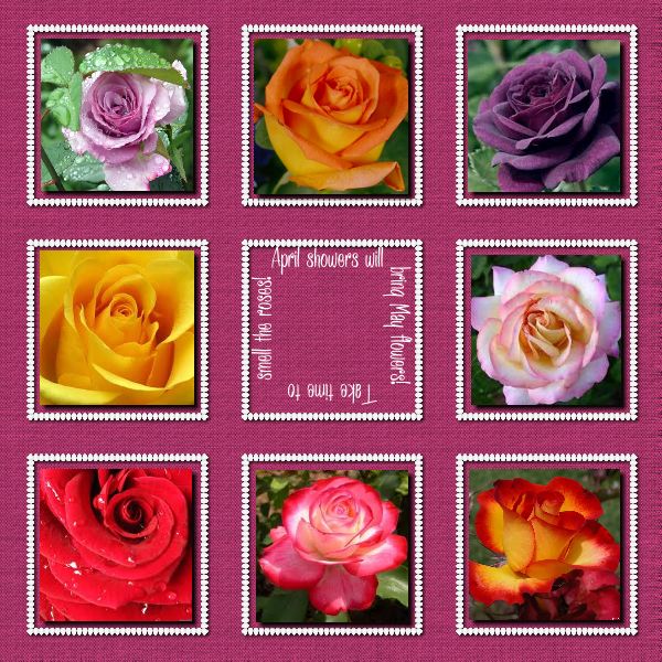 CT Digi Cyber Scraps-010