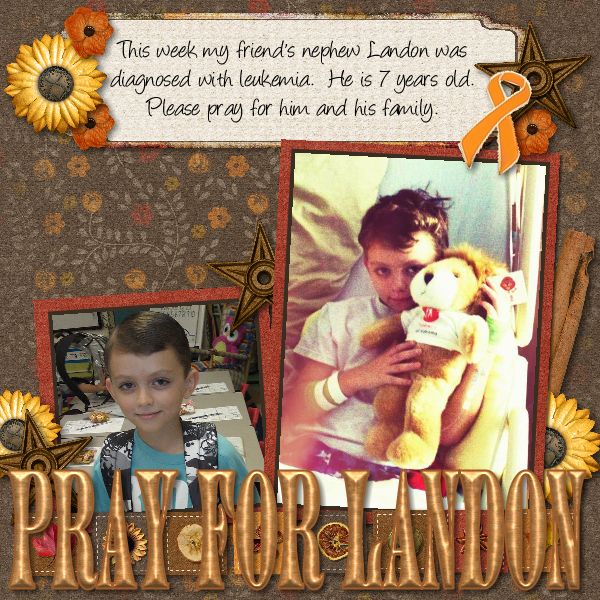 Pray for Landon