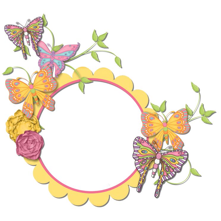 butterfly dreams cluster frame