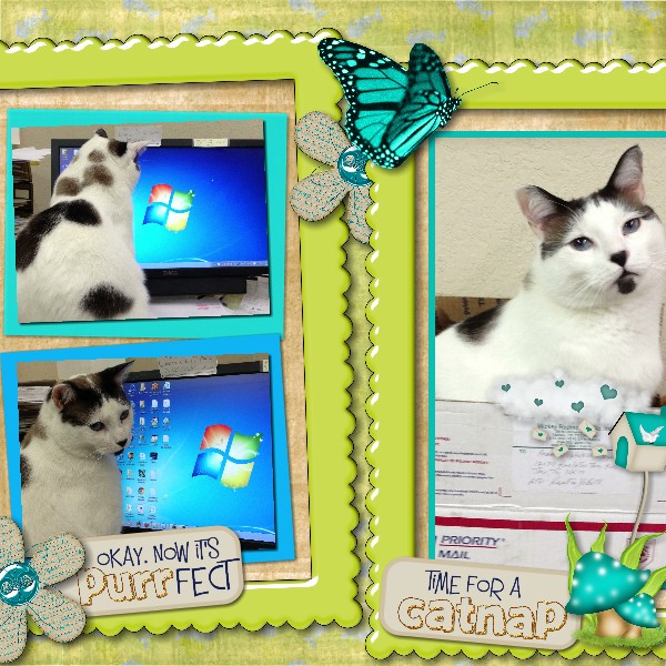 Pretty Kitty kit CatDesignz