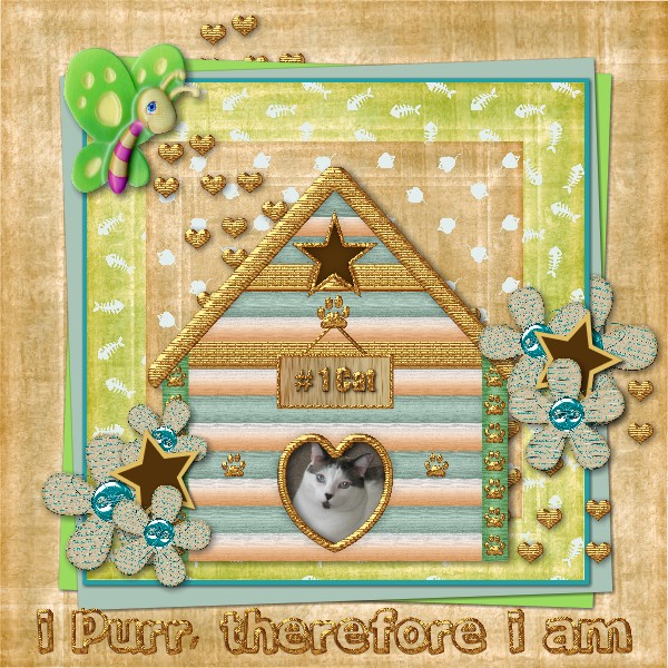 Pretty Kitty Cat by CatDesignz