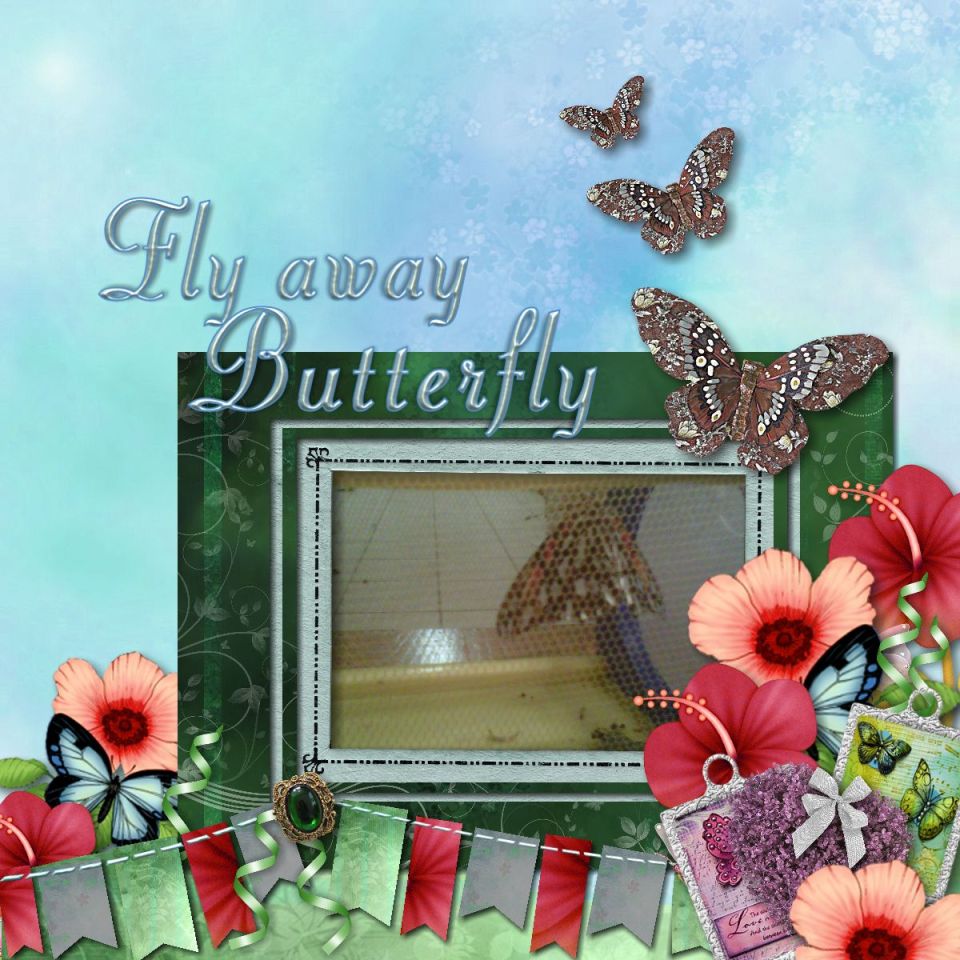 Fly Away Butterfly