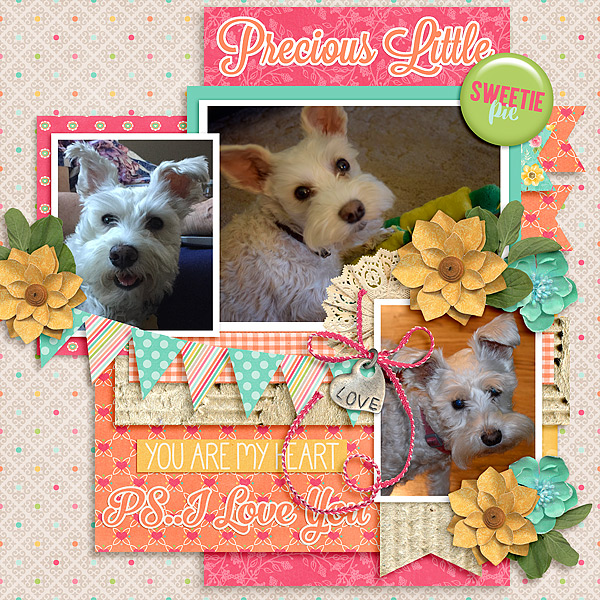 precious-little-sweetie-pie