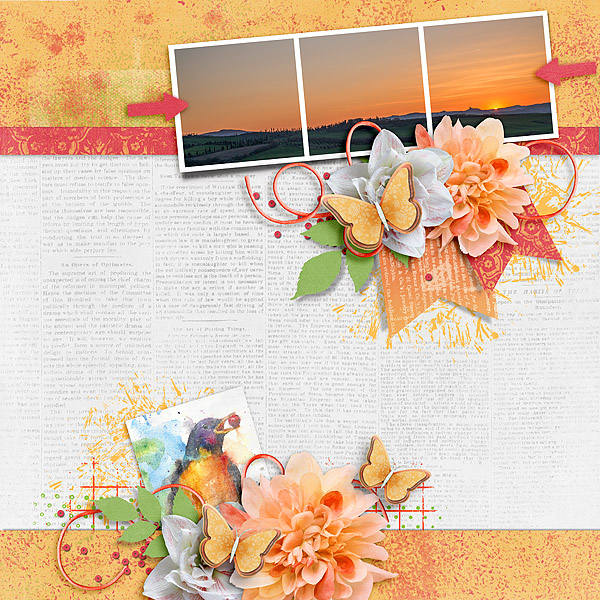 TDC-March Template Challenge