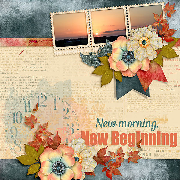 new-beginnings