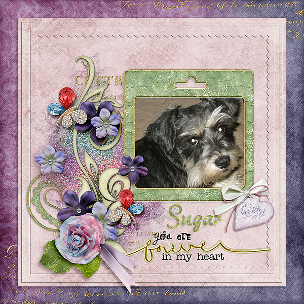 sugar-forever-in-my-heart