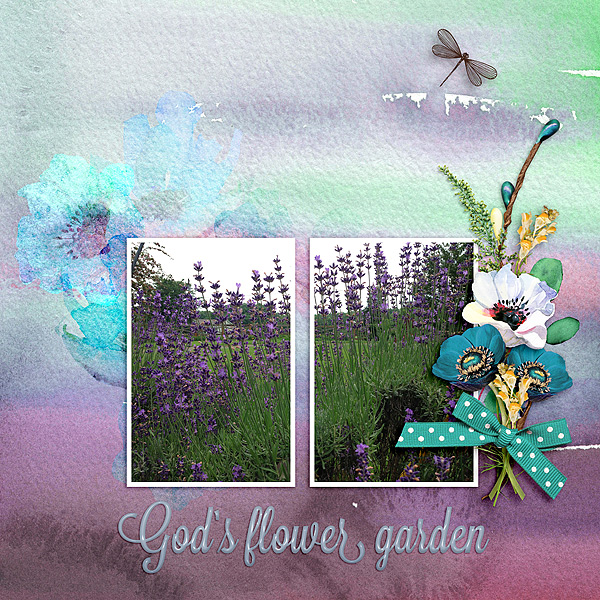 Gods-Flower-Garden