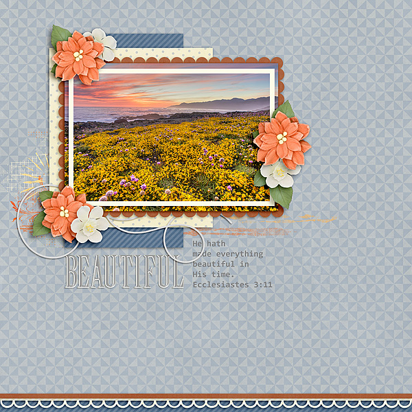 Beautiful-July-2017-TDC-Scripture-Challenge