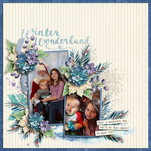 Winter-Wonderland113017