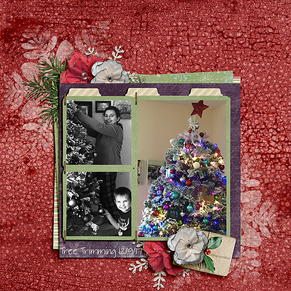 Tree-Trimming-12-9-17