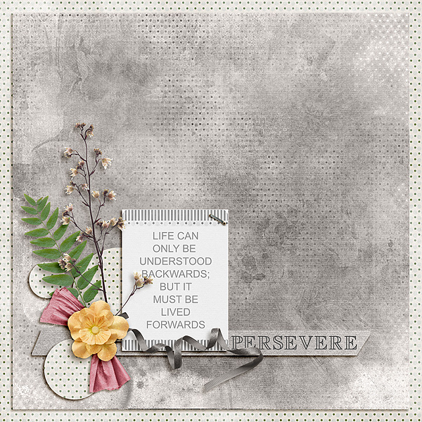 Persevere-Jan2018-UIA